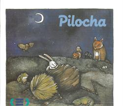 Pilocha